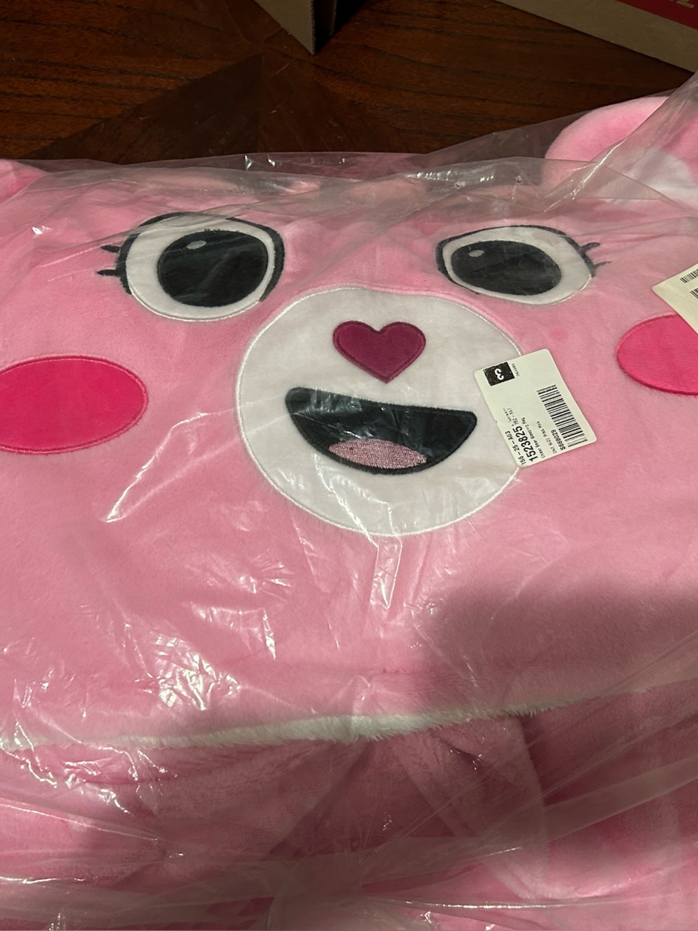 Dolls Kill Cheer bear Sleeping Bag